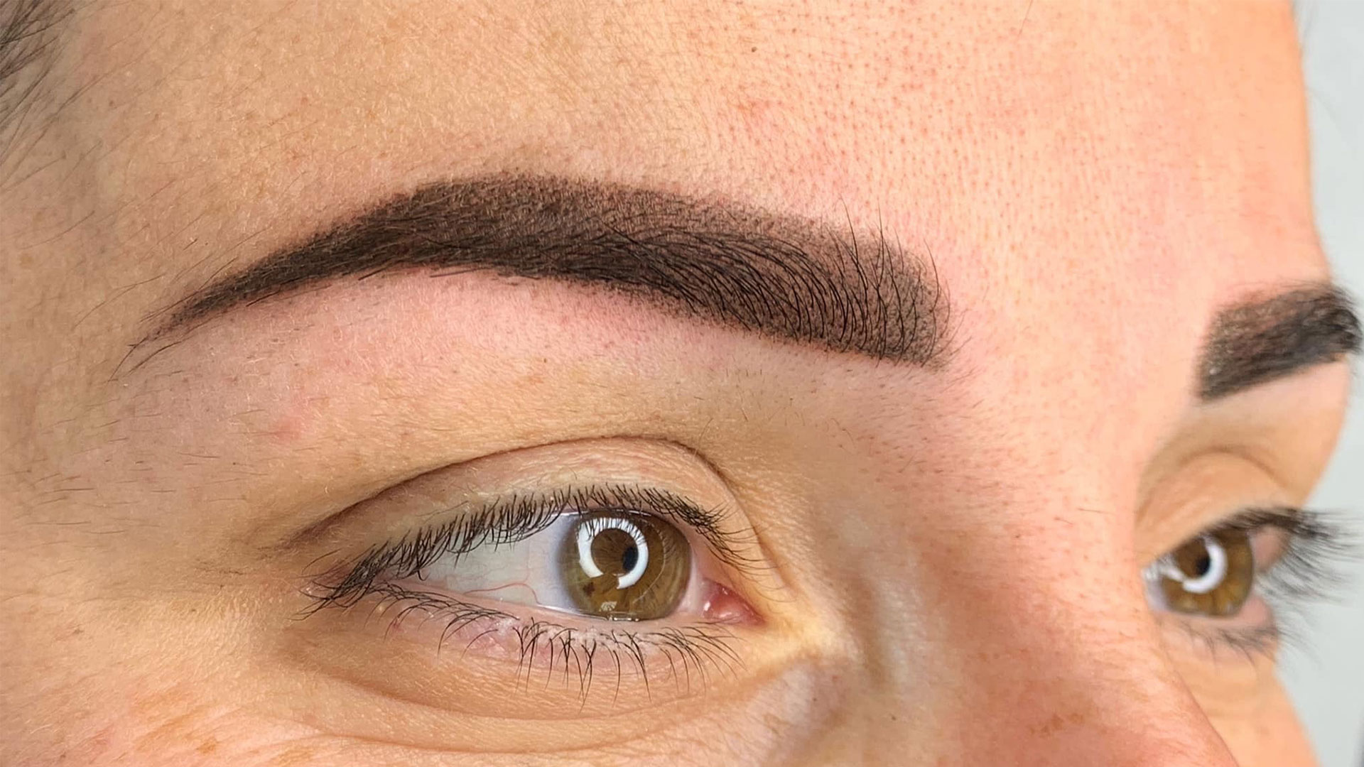 Hollywood Brows